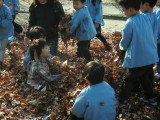 img0016.jpg