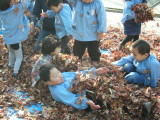 img0017.jpg
