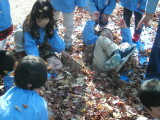 img0021.jpg