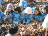 img0023.jpg