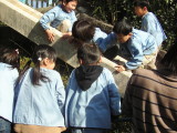 img0036.jpg