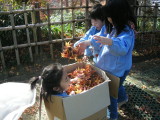 img0041.jpg