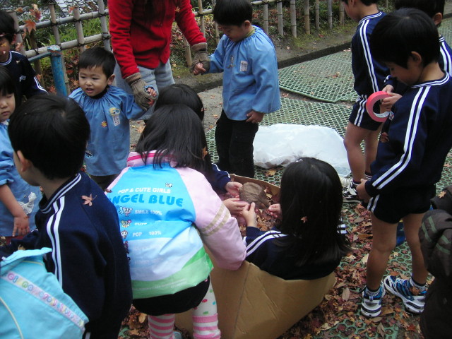 img0032.jpg