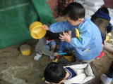 img0017.jpg
