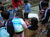img0032.jpg