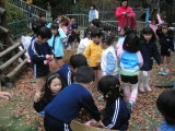 img0034.jpg
