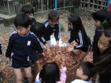 img0036.jpg