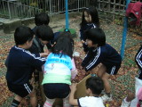 img0037.jpg
