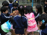 img0038.jpg