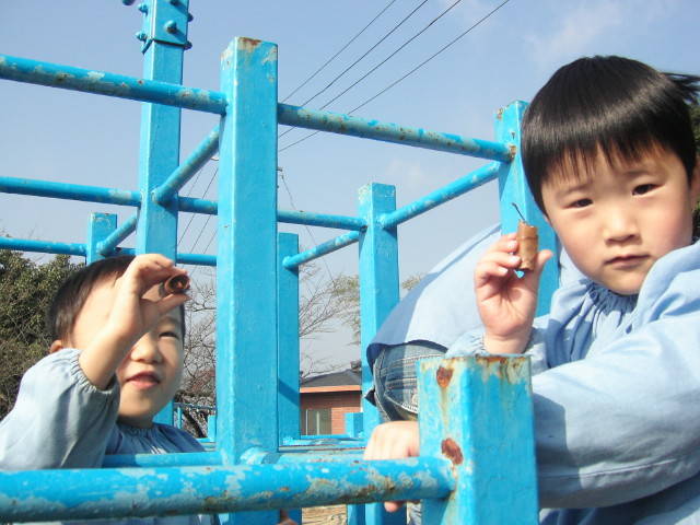 img0006.jpg