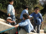 img0003.jpg