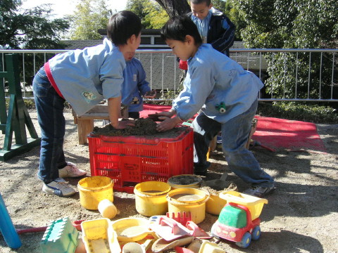 img0049.jpg