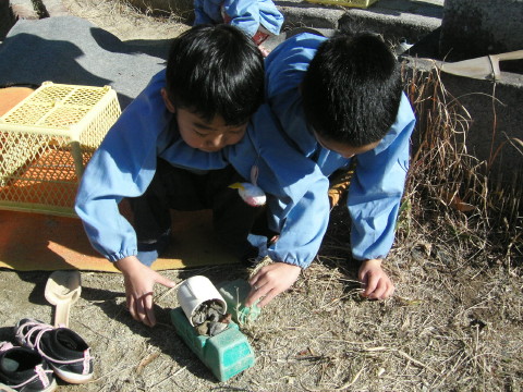 img0072.jpg