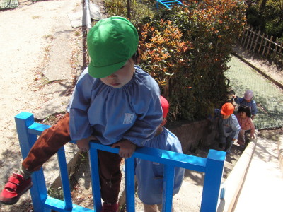 img0031.jpg