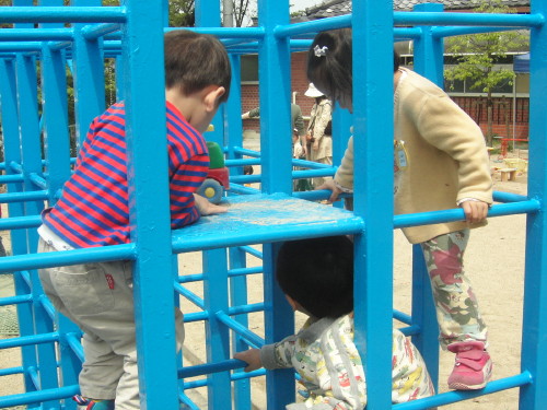 img0036.jpg
