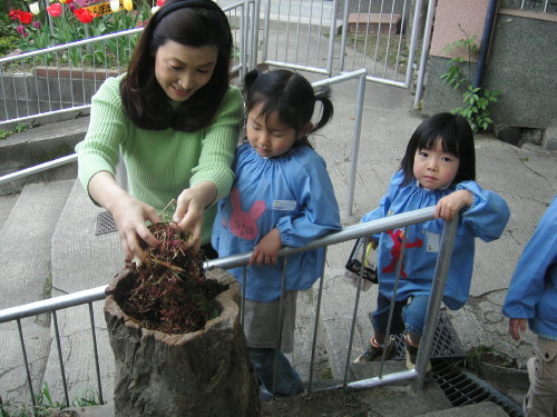 img0032.jpg