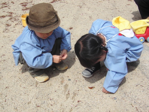 img0010.jpg