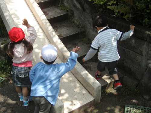 img0006.jpg