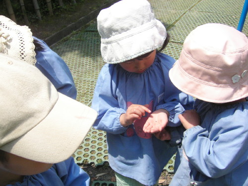 img0001.jpg