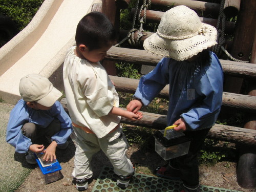 img0004.jpg