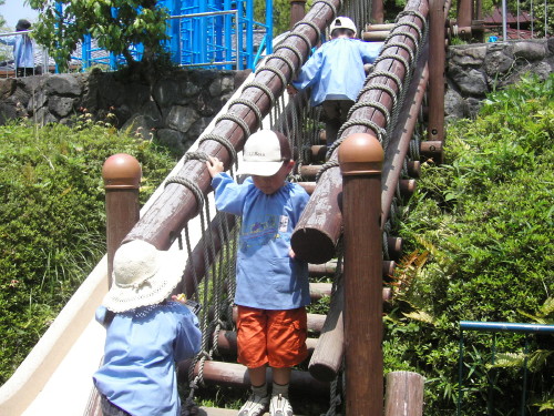 img0010.jpg