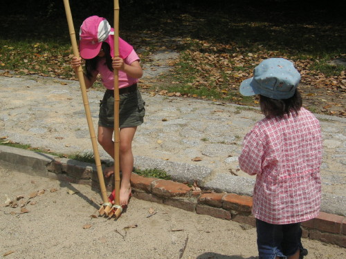 img0015.jpg