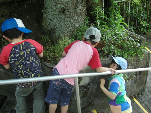 img0035.jpg