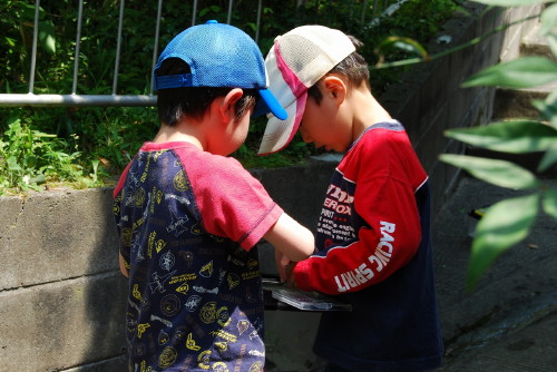 img0037.jpg