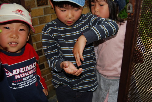 img0038.jpg