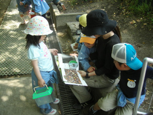 img0047.jpg