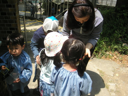 img0049.jpg