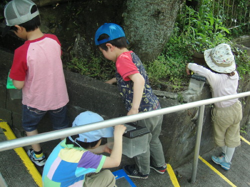 img0058.jpg