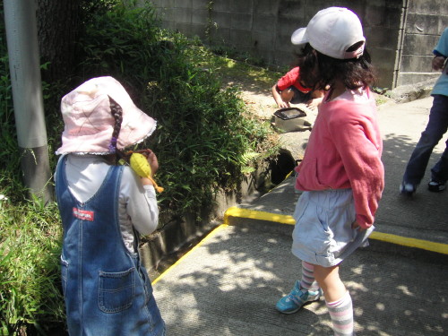 img0062.jpg