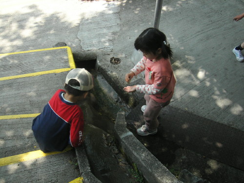 img0077.jpg