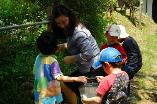 img0079.jpg