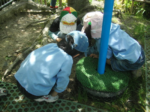 img0013.jpg