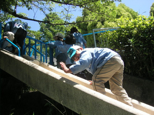 img0035.jpg
