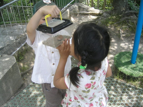 img0027.jpg