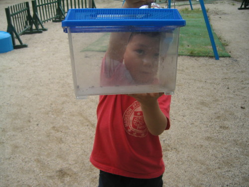 img0015.jpg