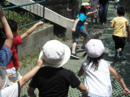 img0020.jpg