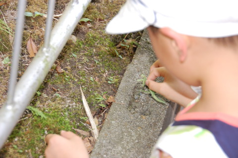 img0027.jpg