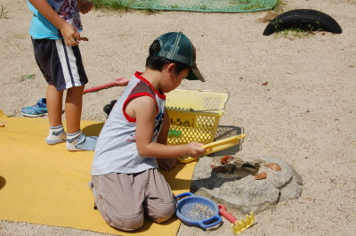 img0040.jpg