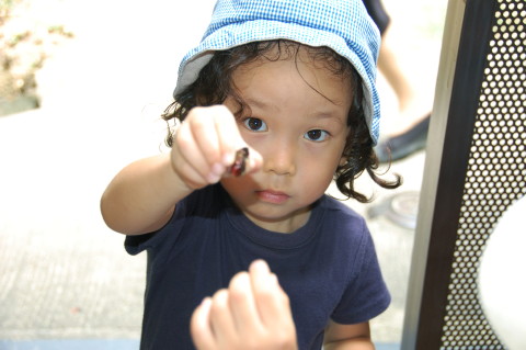 img0004.jpg