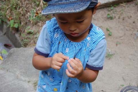 img0005.jpg