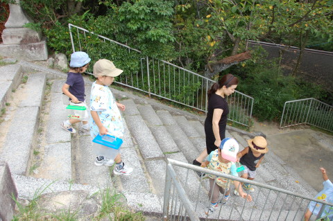 img0016.jpg