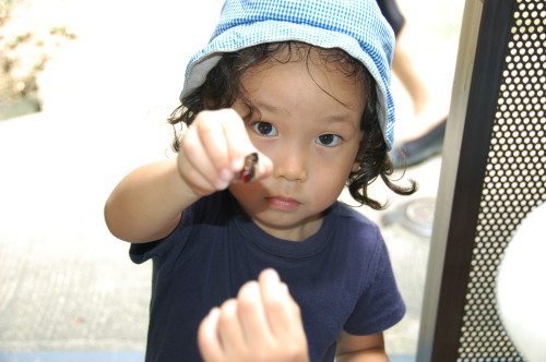 img0038.jpg
