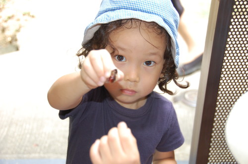 img0044.jpg