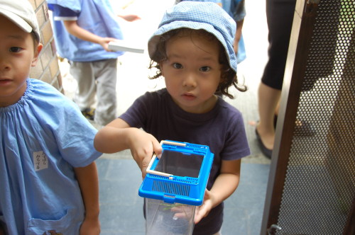 img0052.jpg