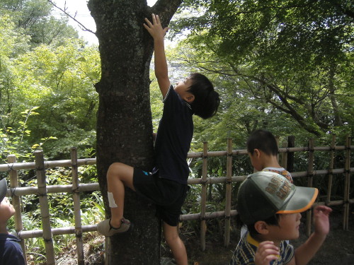 img0073.jpg