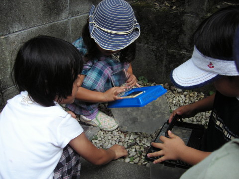 img0043.jpg